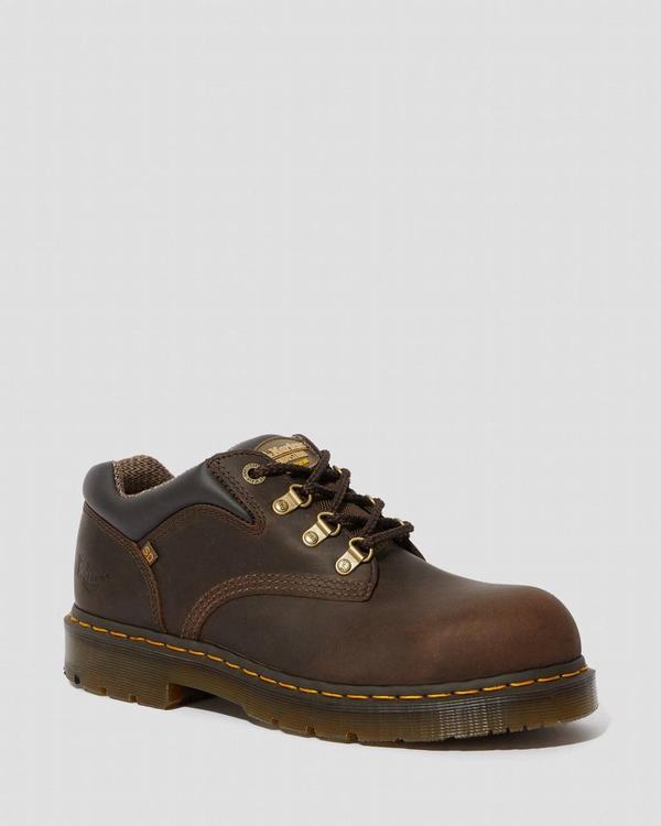 Dr Martens Dámské Pracovní Obuv Hylow Safety Toe Hnědé, CZ-934786